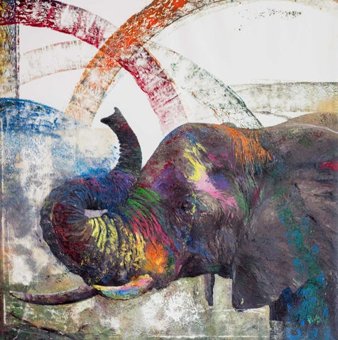Elephant - Paola V Cesano