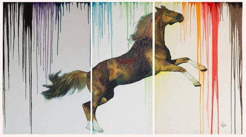 Horse - Paola V Cesano