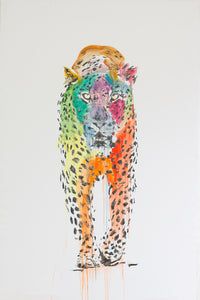 Rainbow Leopard - Paola V Cesano