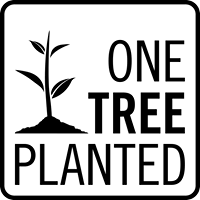 Tree to be Planted - Paola V Cesano